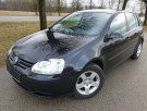 VW Golf V 1.6i 75kW Automatic 12.04`
