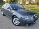 Audi A3 1.9TDi 77kW Attraction 06.07`