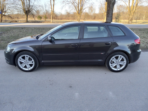 Audi A3 Sport 5d. 1.6TDi 77kW 06.10` - attēls 7