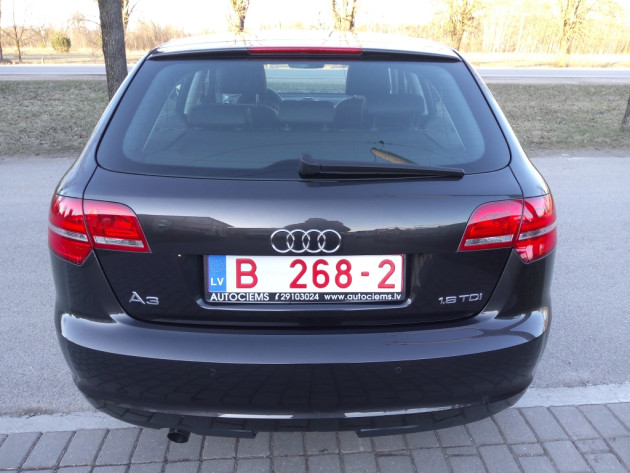 Audi A3 Sport 5d. 1.6TDi 77kW 06.10` - attēls 8